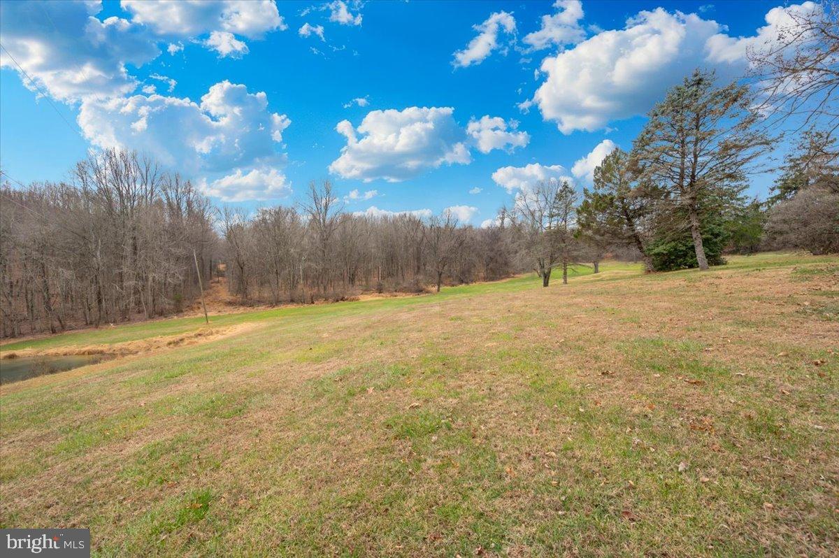 10891 Bethesda Church Road Damascus, MD 20872 - Photo 40 of 51 a view of a yard with a tree