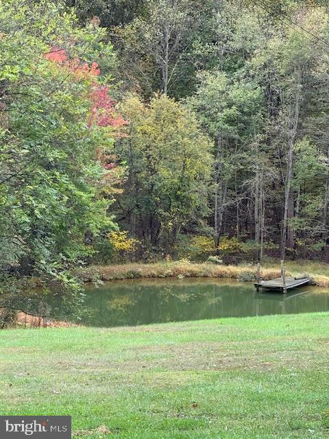 10891 Bethesda Church Road Damascus, MD 20872 - Photo 42 of 51 a view of a living room with a yard
