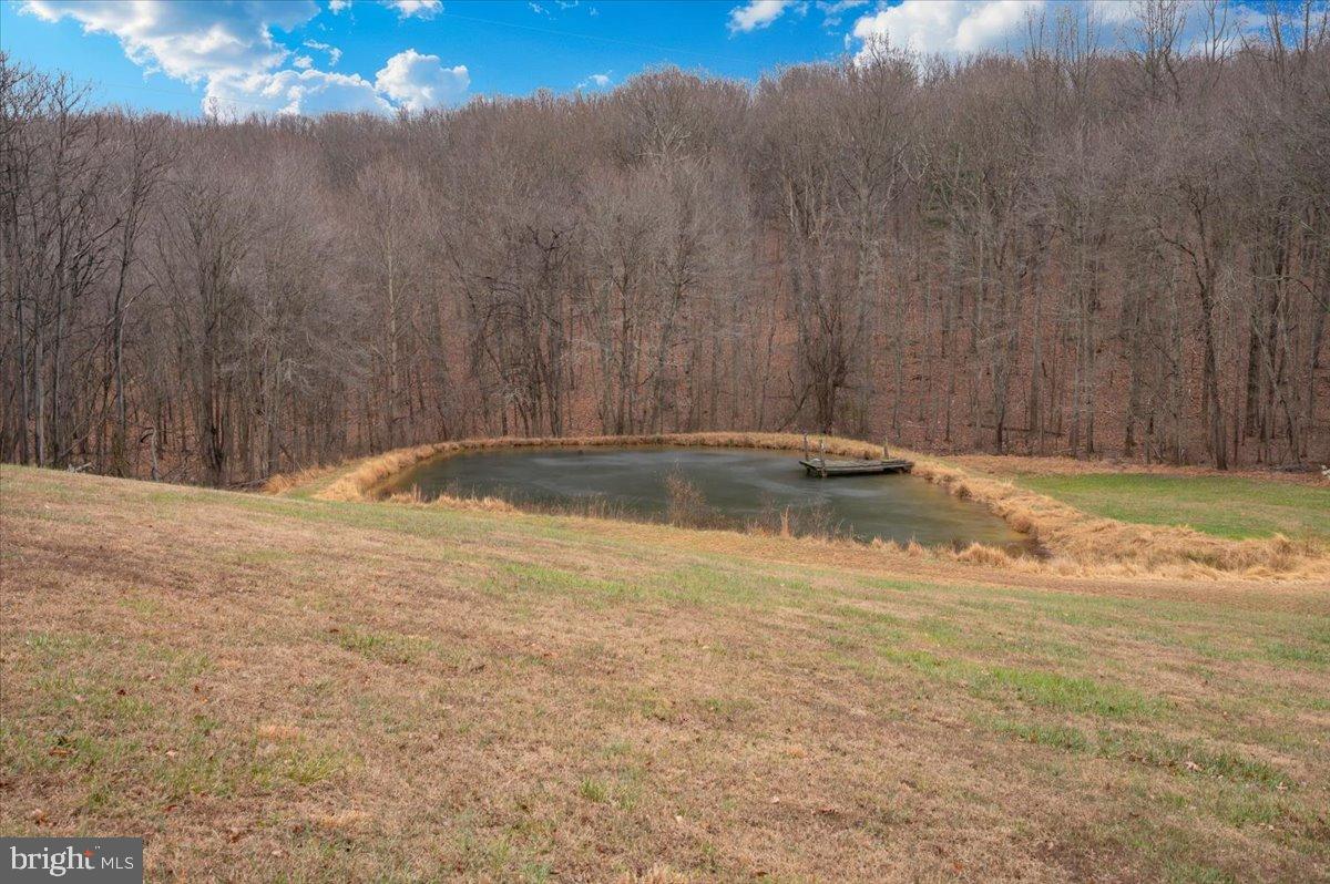 10891 Bethesda Church Road Damascus, MD 20872 - Photo 44 of 51 a view of swimming pool with a yard