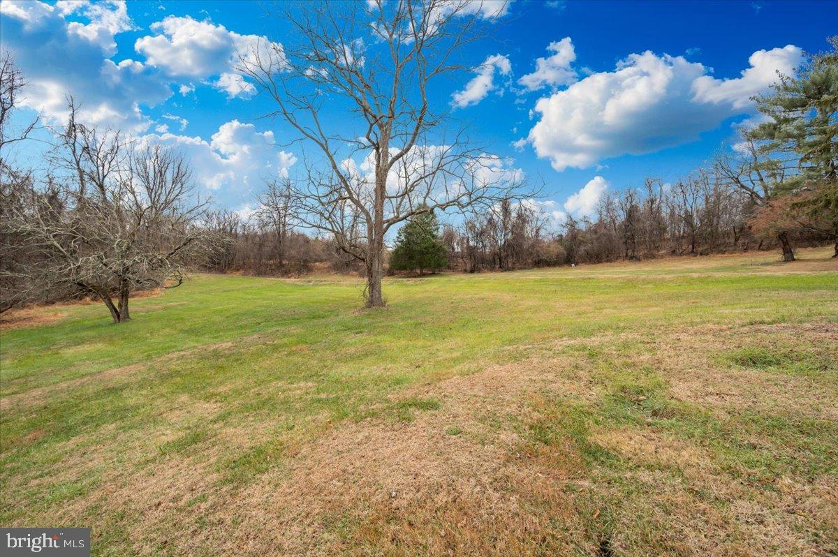 10891 Bethesda Church Road Damascus, MD 20872 - Photo 45 of 51 a view of yard with tree and a yard