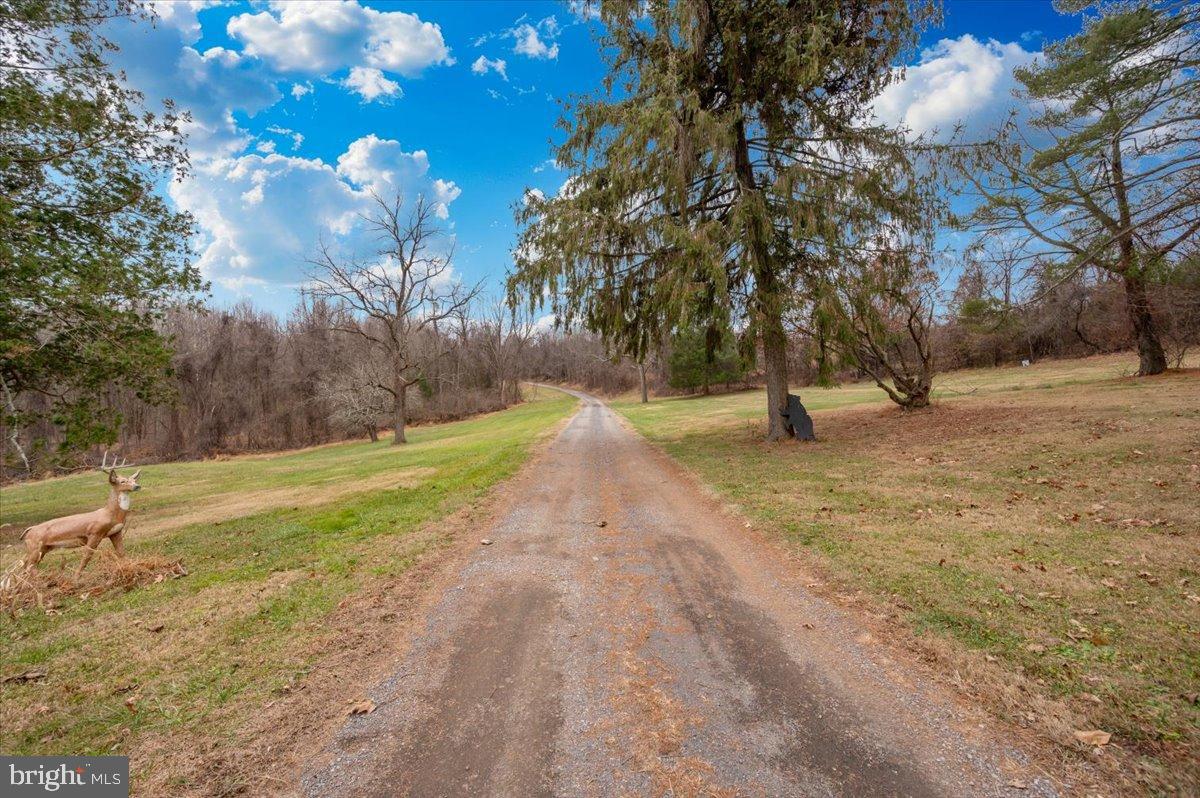 10891 Bethesda Church Road Damascus, MD 20872 - Photo 50 of 51 a view of a yard with a tree