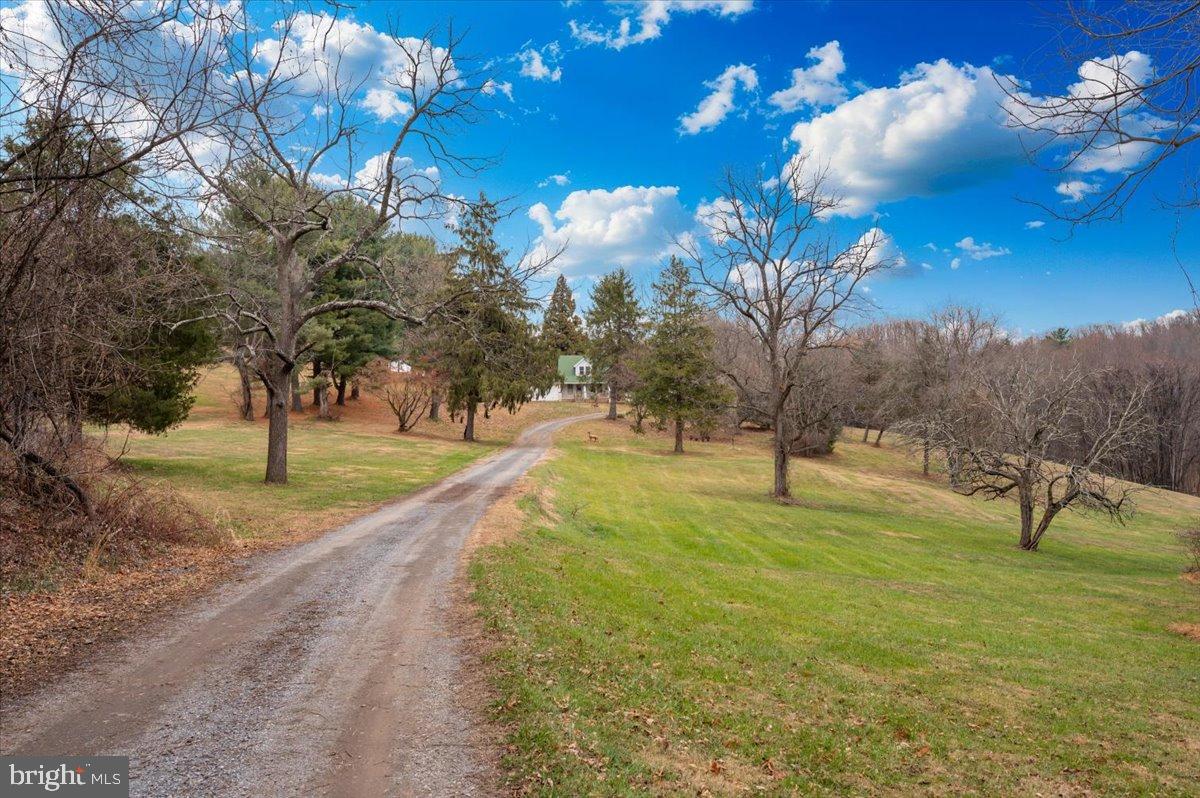 10891 Bethesda Church Road Damascus, MD 20872 - Photo 51 of 51 a view of yard with tree s