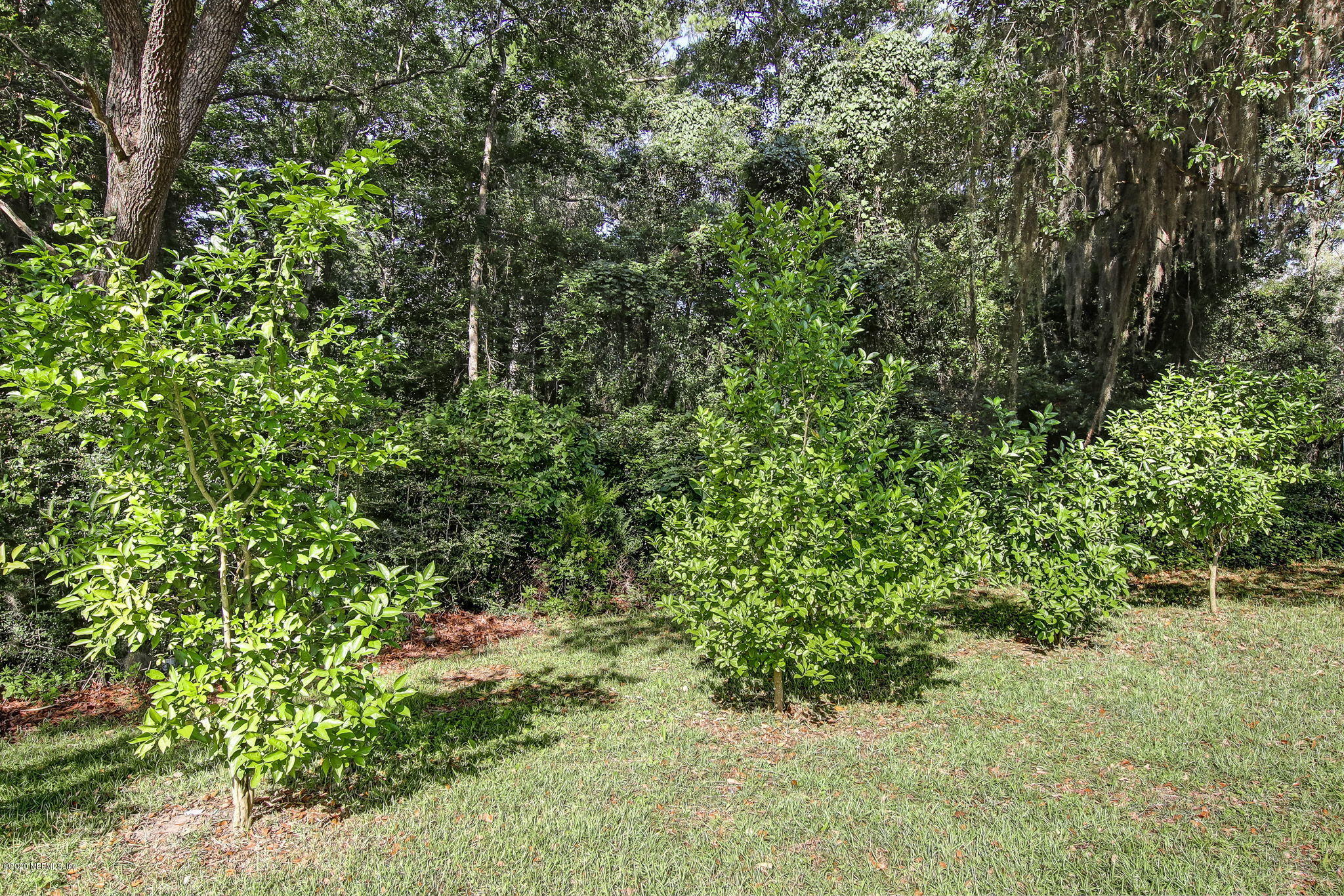 86073 Timber Ridge Street Yulee, FL 32097 - Photo 32 of 32 Timber Ridge-35