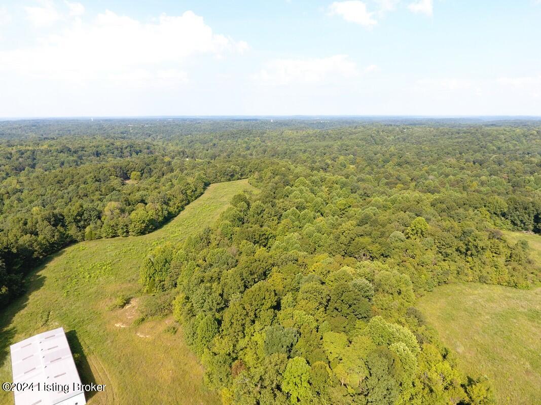 783 Lawrence Hayes Road Caneyville, KY 42721 - Photo 119 of 149 783 LH aerial16