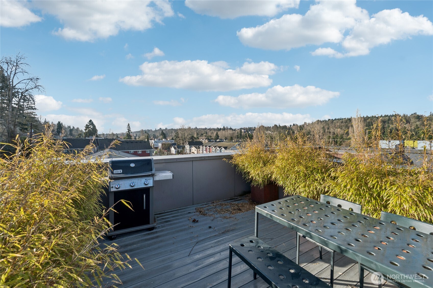 4810 C Delridge Way Southwest Seattle, WA 98106 - Photo 13 of 21