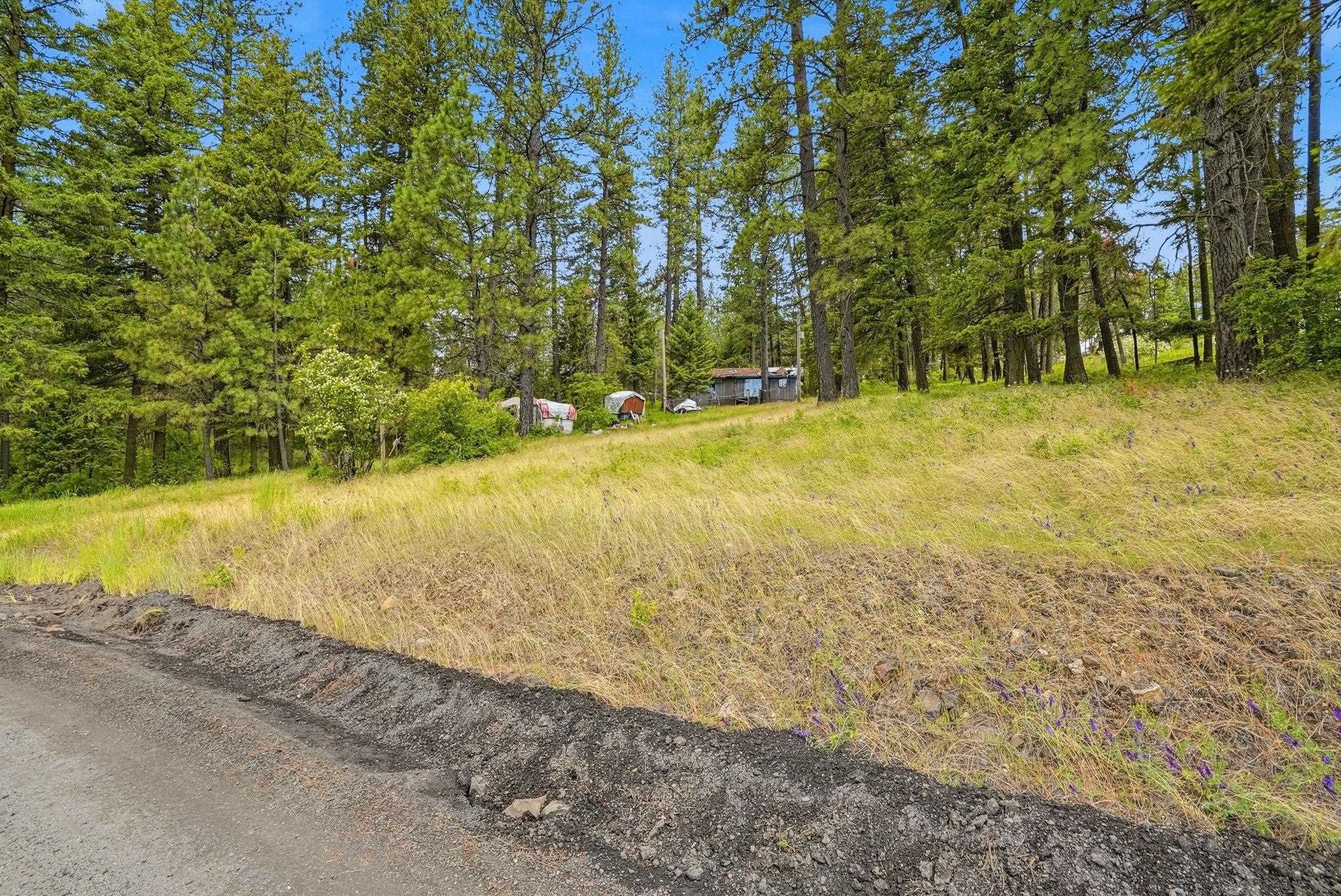 11603 East Deer Creek Road Chattaroy, WA 99003 - Photo 6 of 26
