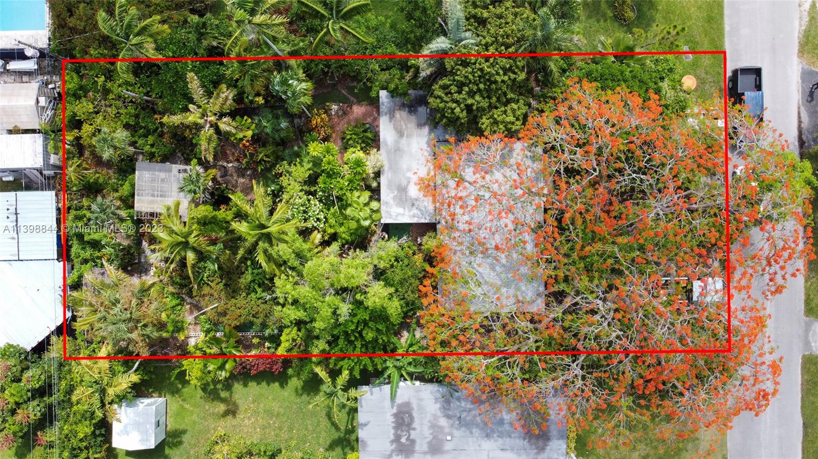 6600 Southwest 45th Street Miami, FL 33155 - Photo 3 of 27 a picture of flowers