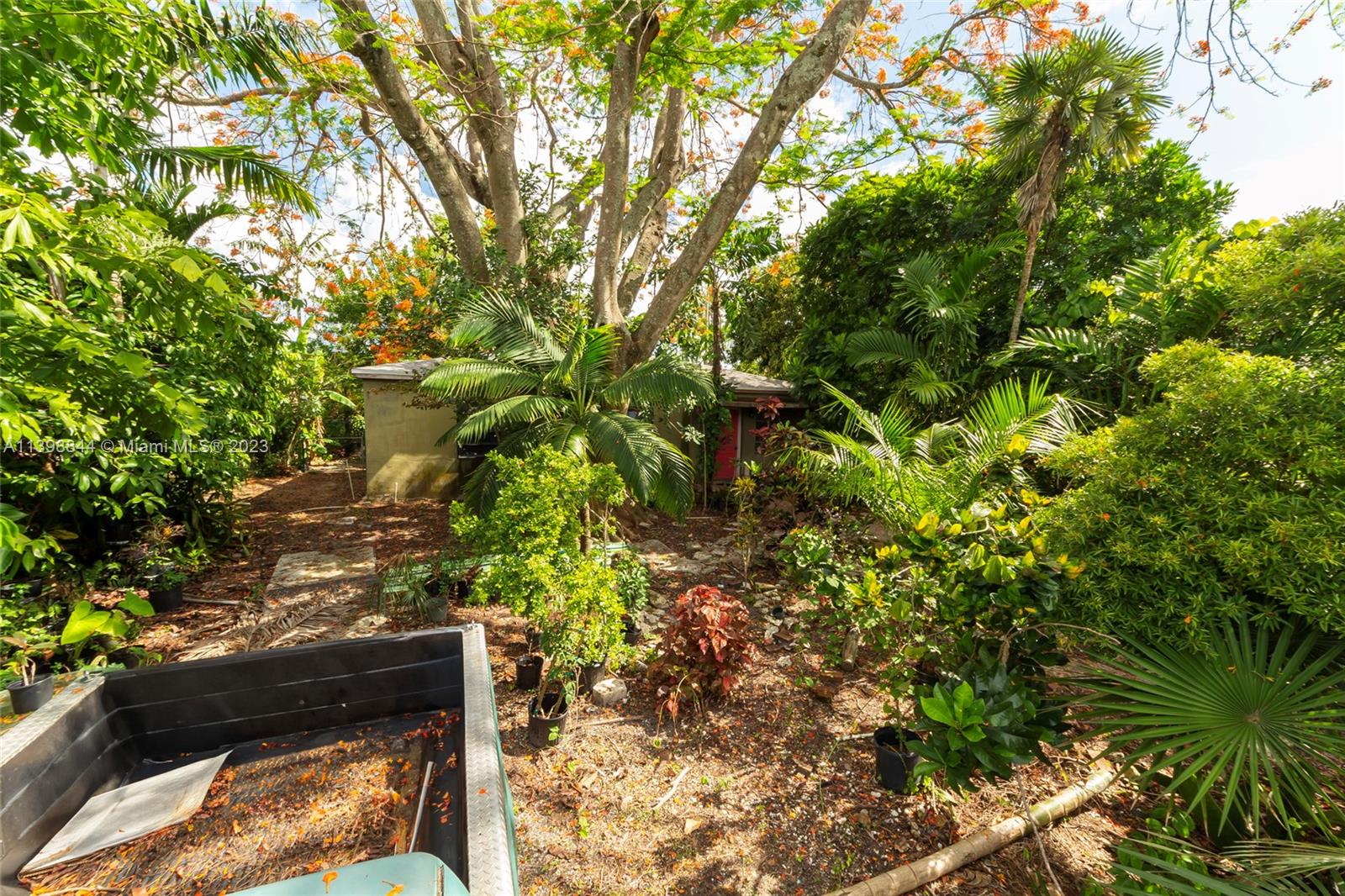 6600 Southwest 45th Street Miami, FL 33155 - Photo 7 of 27 a view of a tree