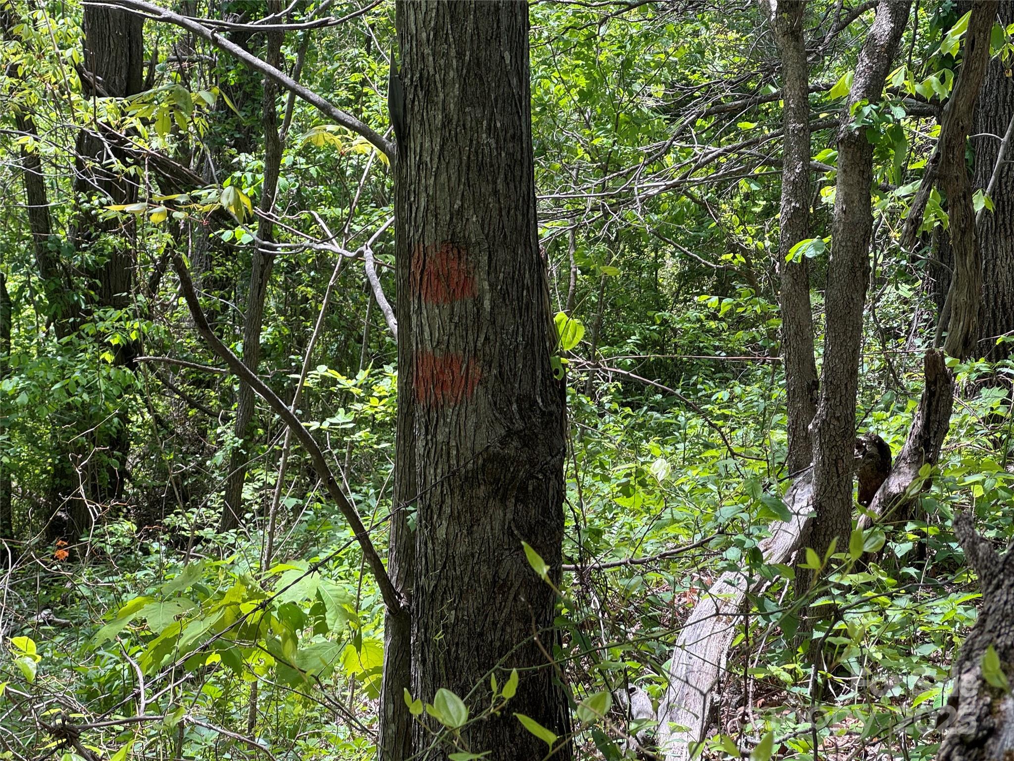 0 Rickman Ridge Canton, NC 28716 - Photo 12 of 20