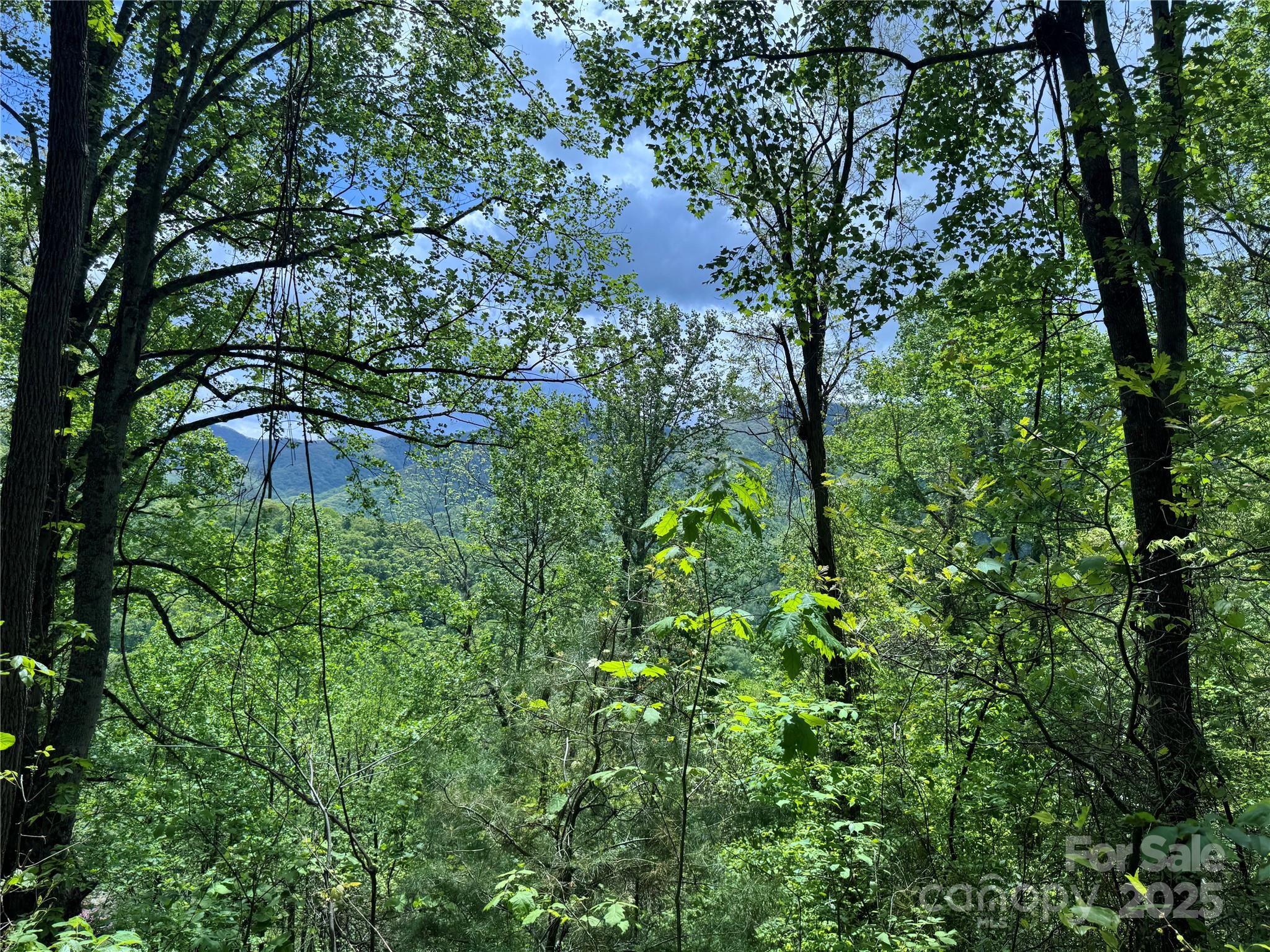 0 Rickman Ridge Canton, NC 28716 - Photo 13 of 20