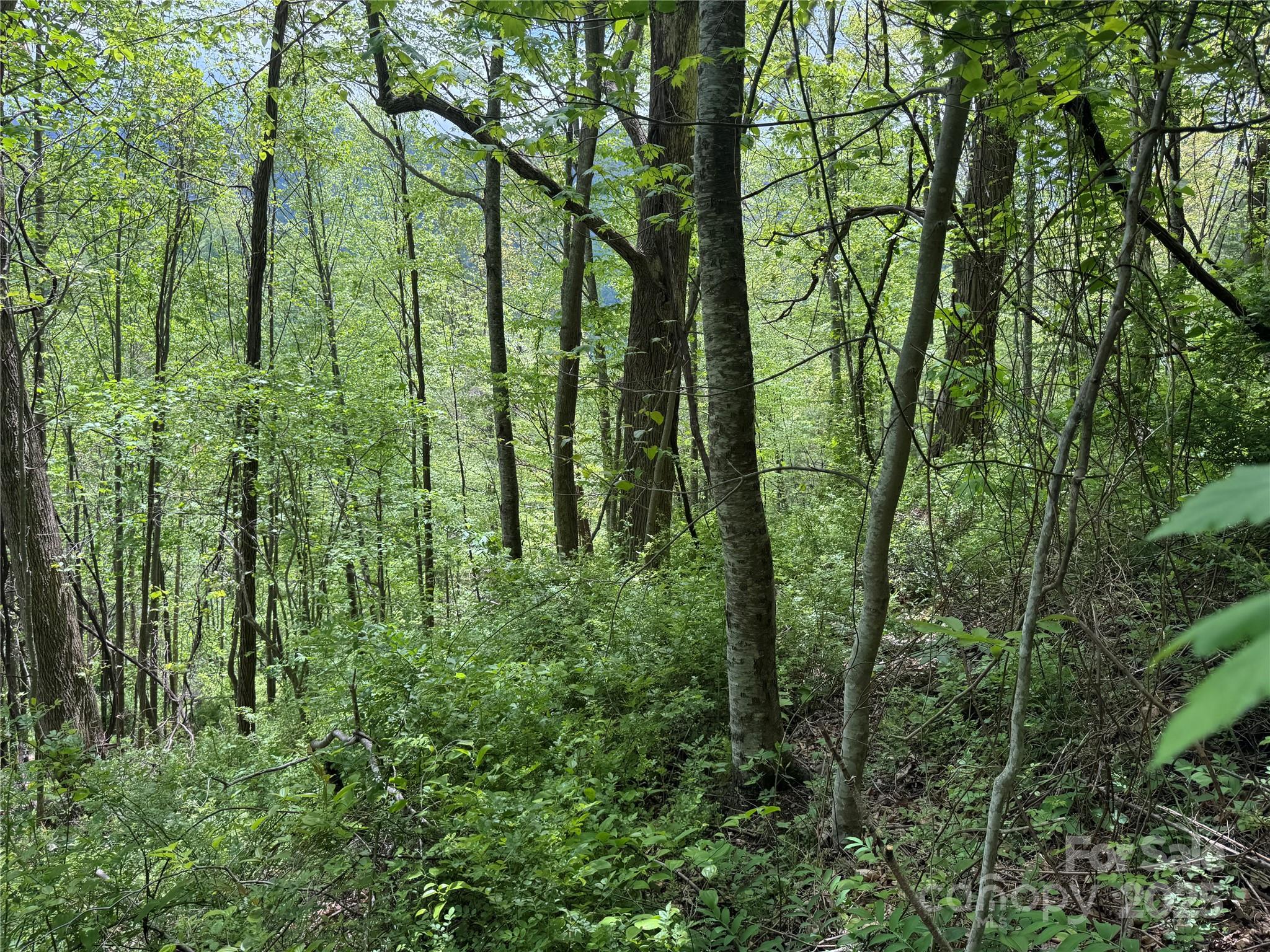 0 Rickman Ridge Canton, NC 28716 - Photo 14 of 20