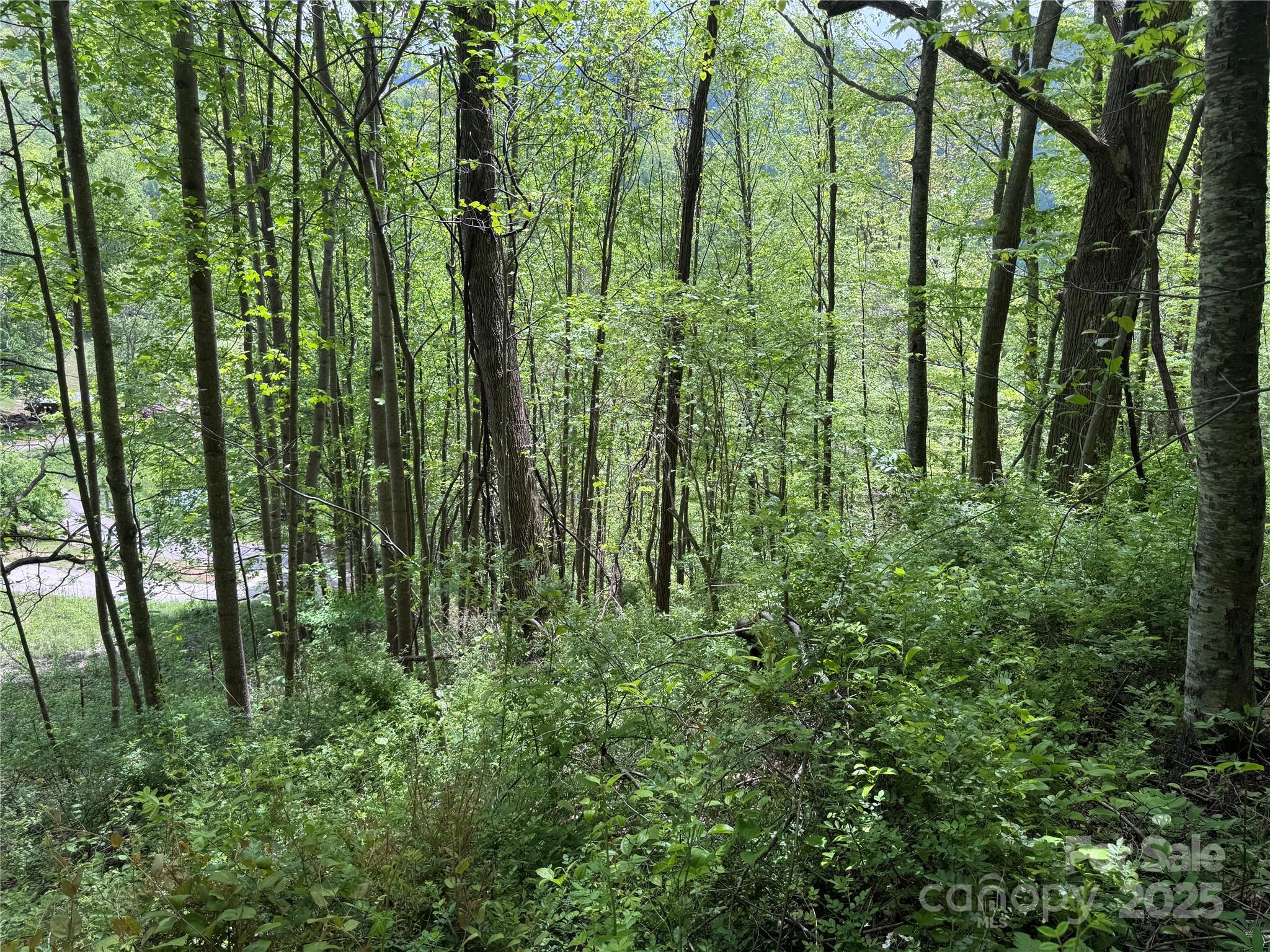 0 Rickman Ridge Canton, NC 28716 - Photo 15 of 20