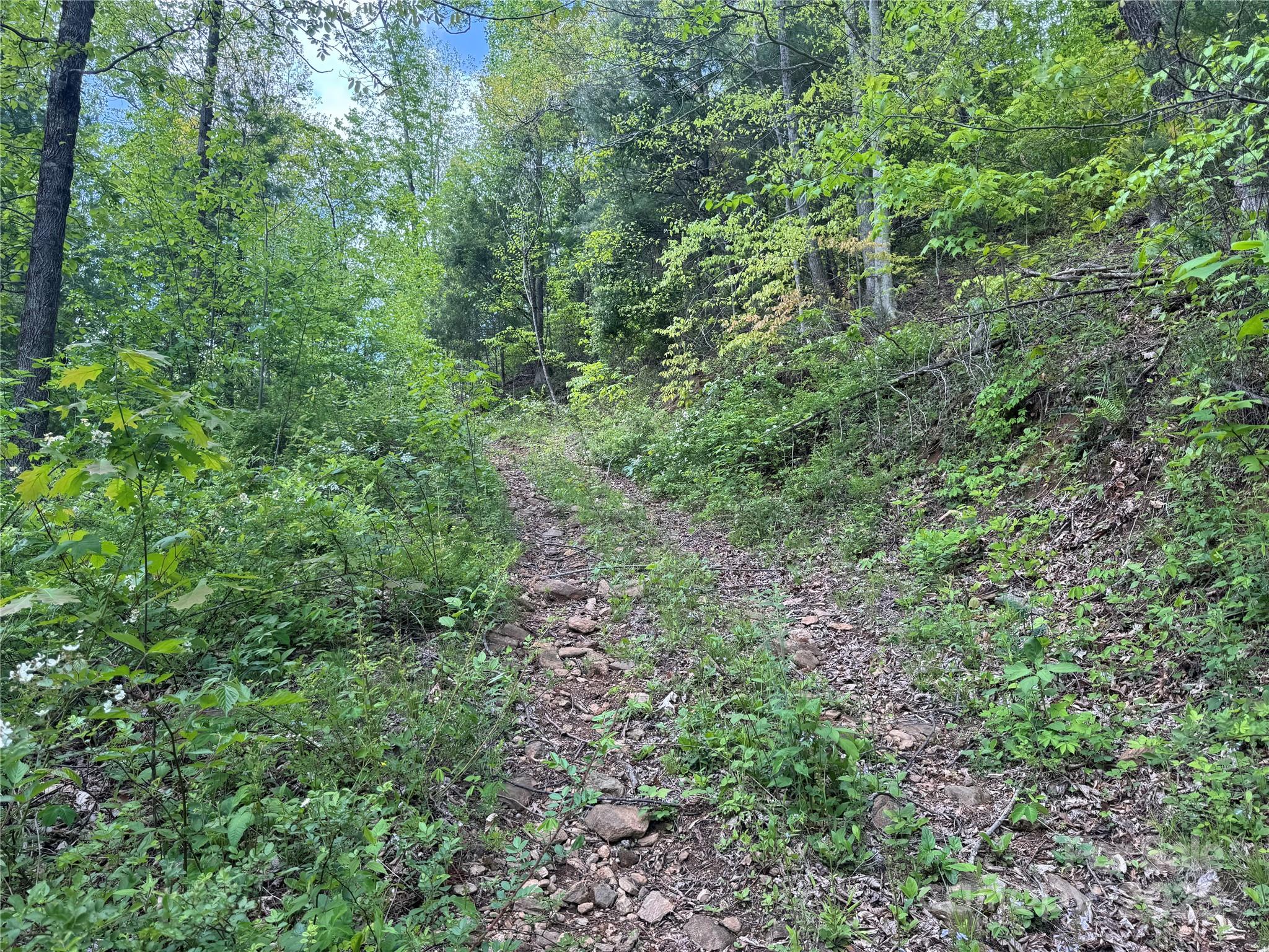 0 Rickman Ridge Canton, NC 28716 - Photo 16 of 20