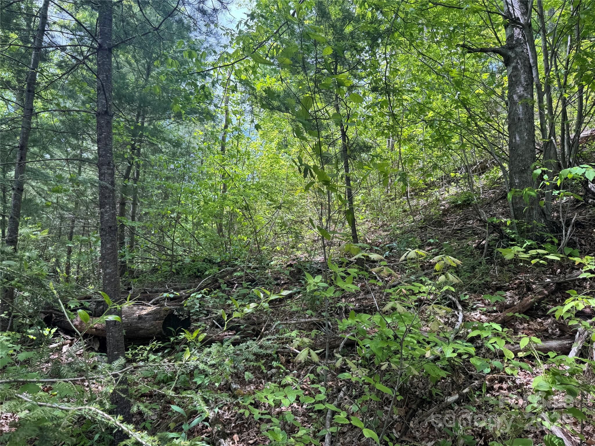 0 Rickman Ridge Canton, NC 28716 - Photo 17 of 20