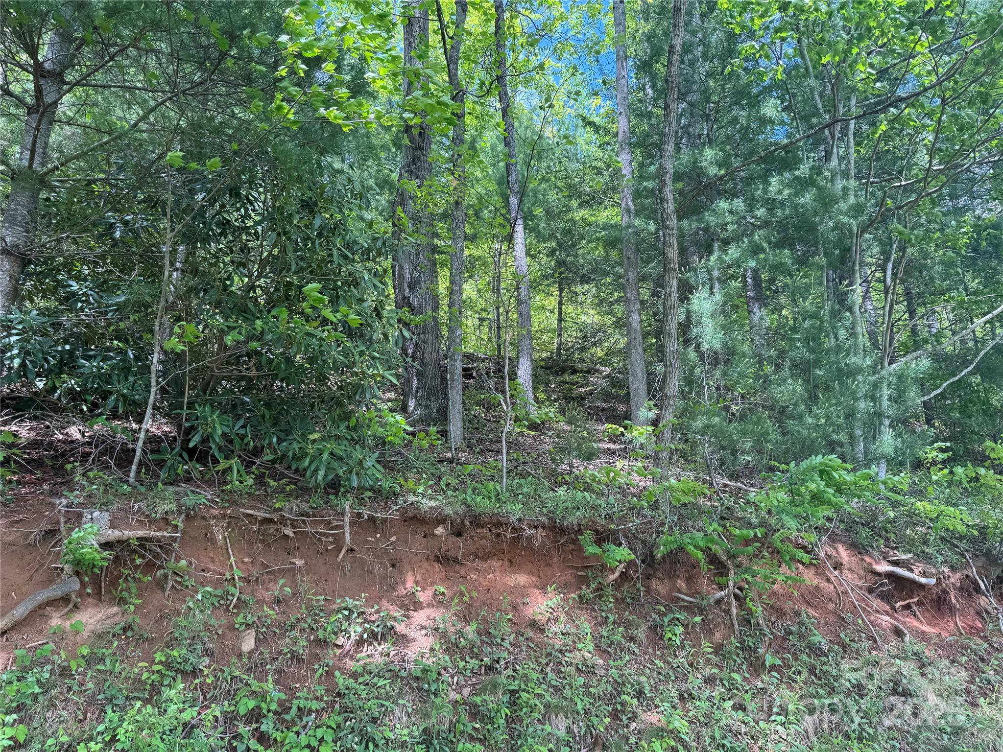 0 Rickman Ridge Canton, NC 28716 - Photo 18 of 20