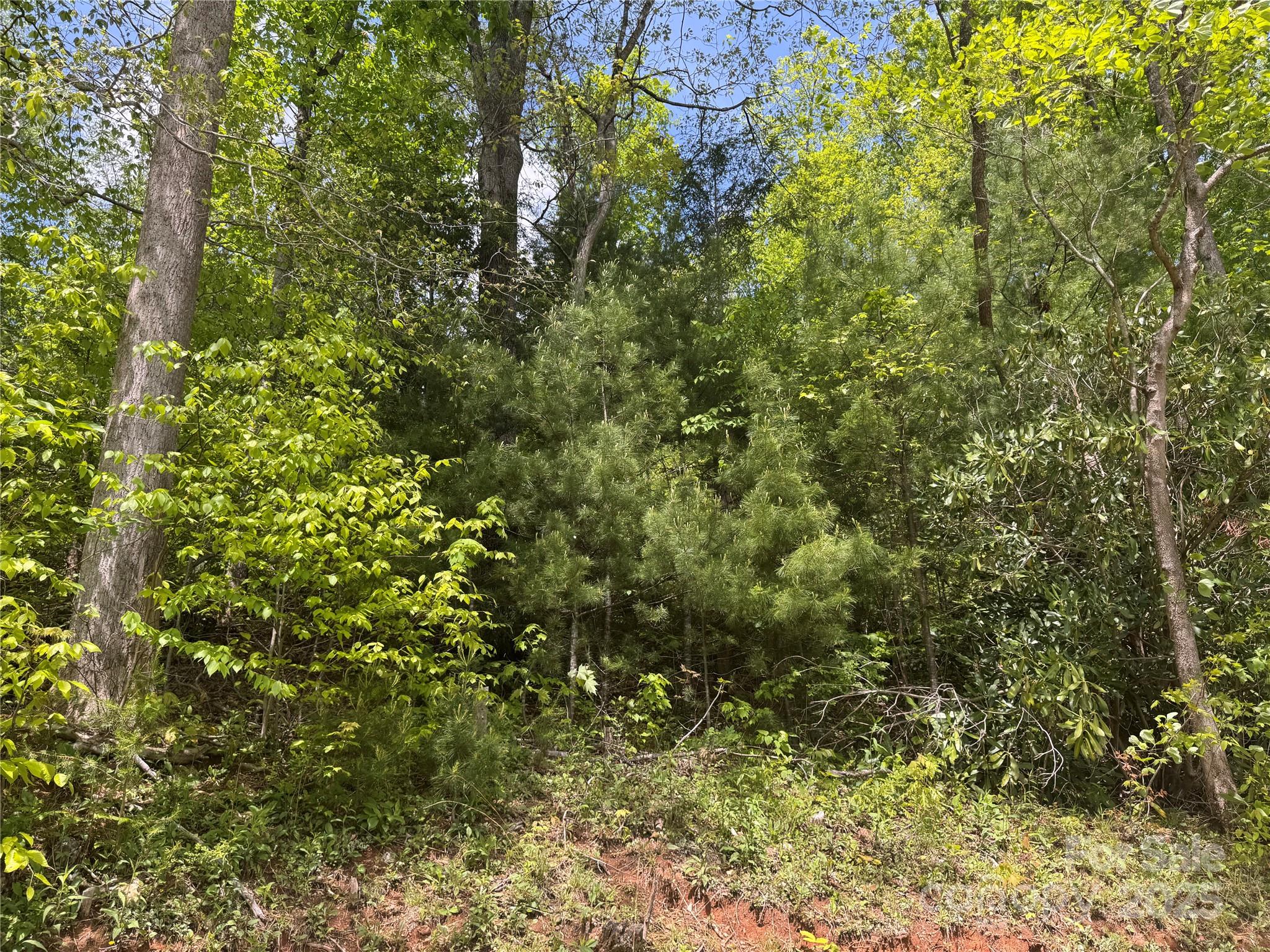 0 Rickman Ridge Canton, NC 28716 - Photo 20 of 20