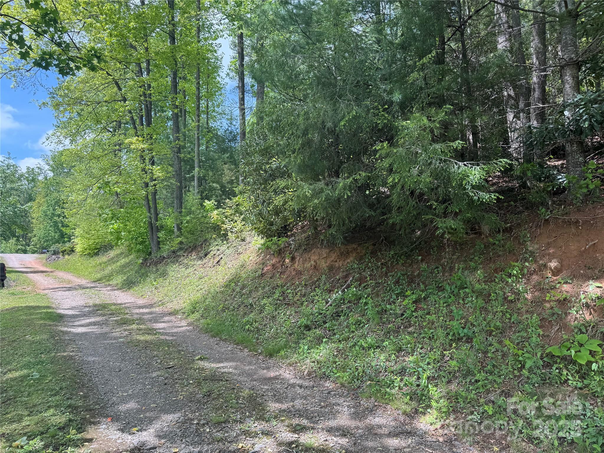 0 Rickman Ridge Canton, NC 28716 - Photo 2 of 20