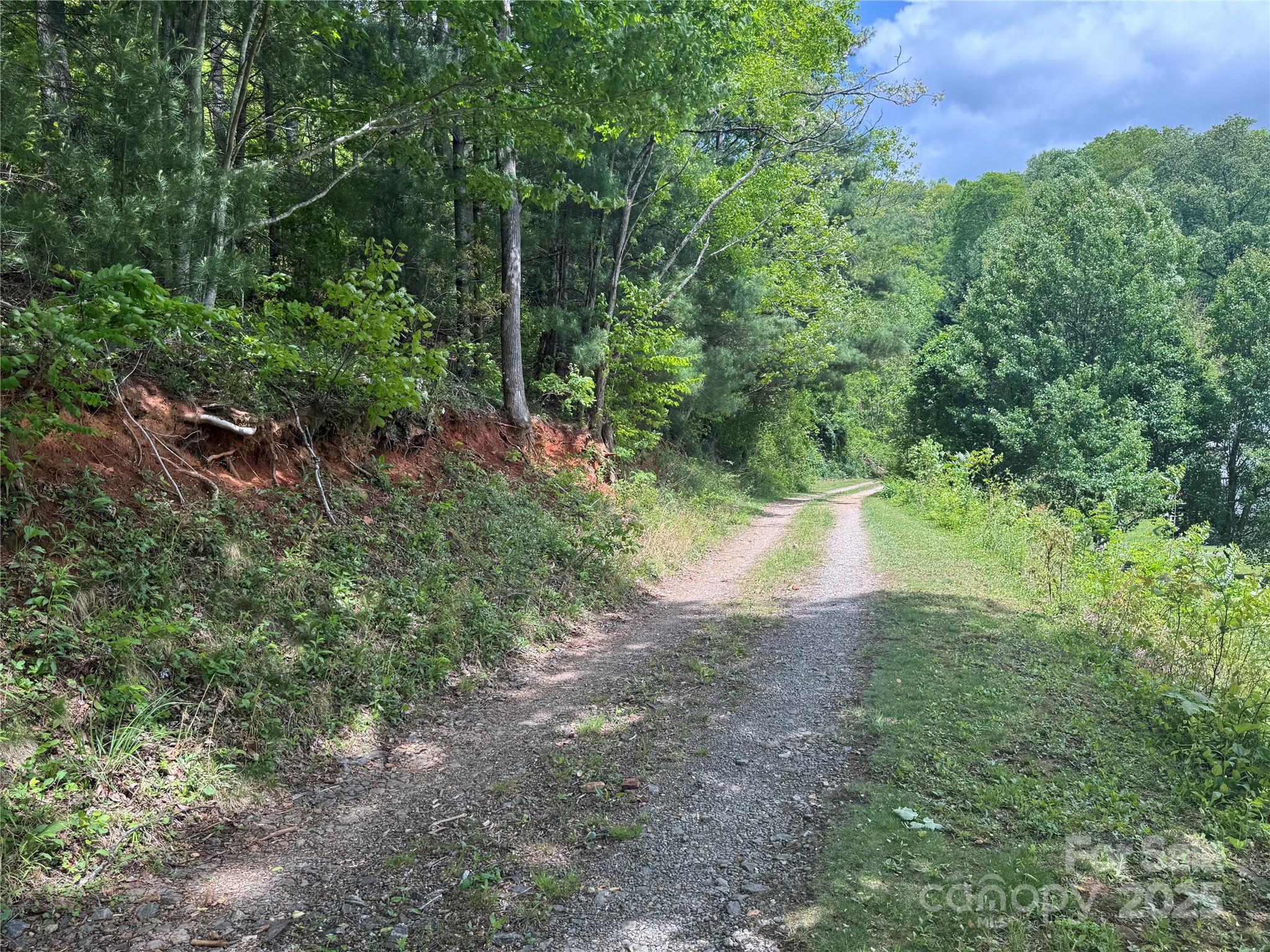 0 Rickman Ridge Canton, NC 28716 - Photo 3 of 20