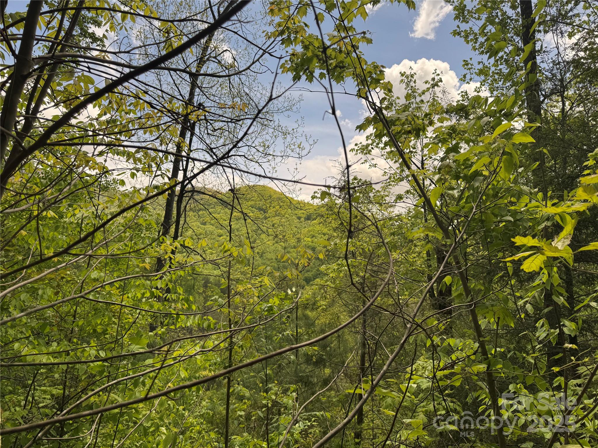 0 Rickman Ridge Canton, NC 28716 - Photo 4 of 20