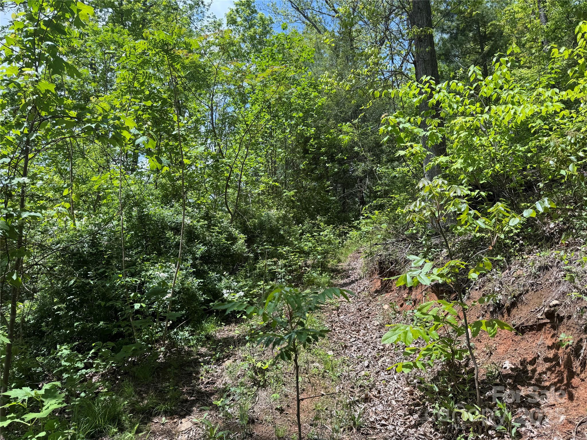 0 Rickman Ridge Canton, NC 28716 - Photo 6 of 20