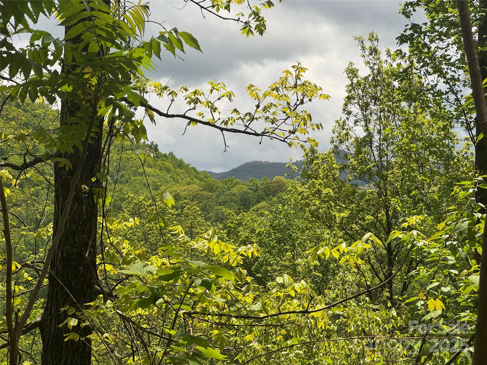 0 Rickman Ridge Canton, NC 28716 - Photo 7 of 20