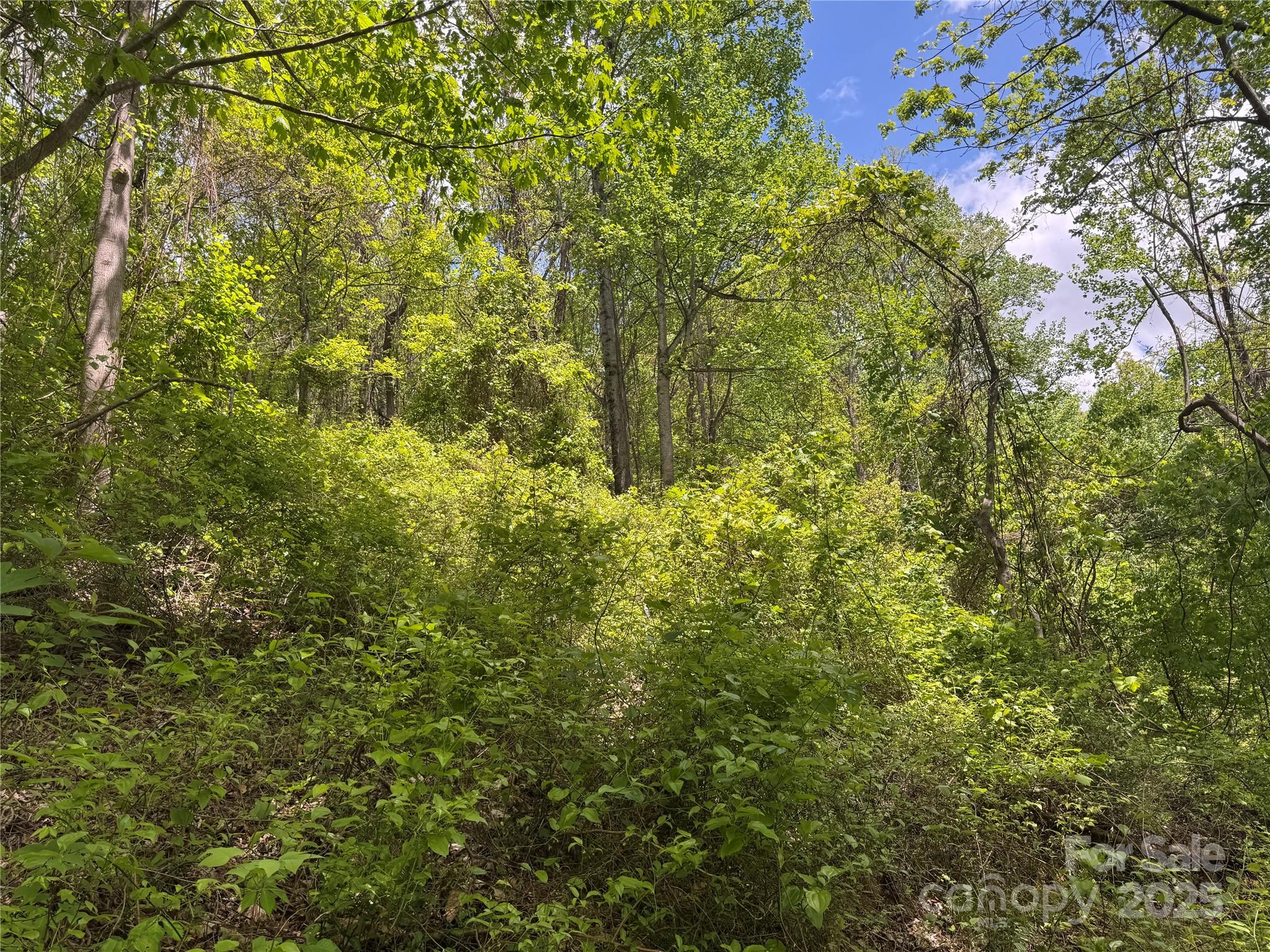 0 Rickman Ridge Canton, NC 28716 - Photo 9 of 20