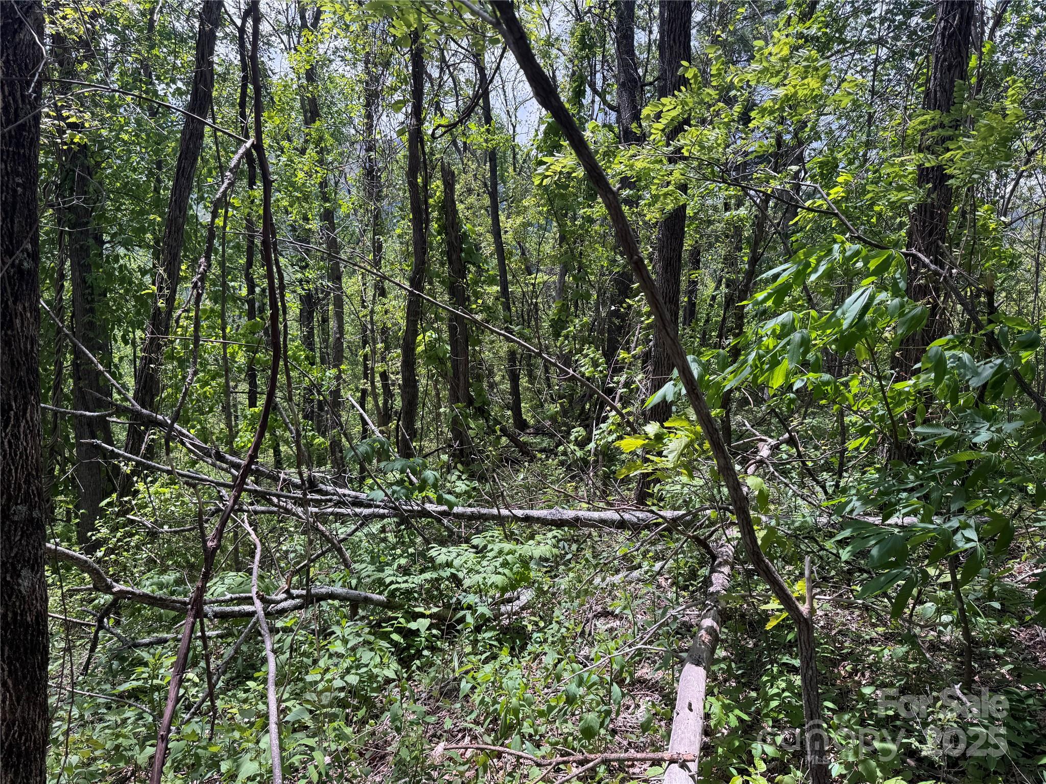 0 Rickman Ridge Canton, NC 28716 - Photo 10 of 20