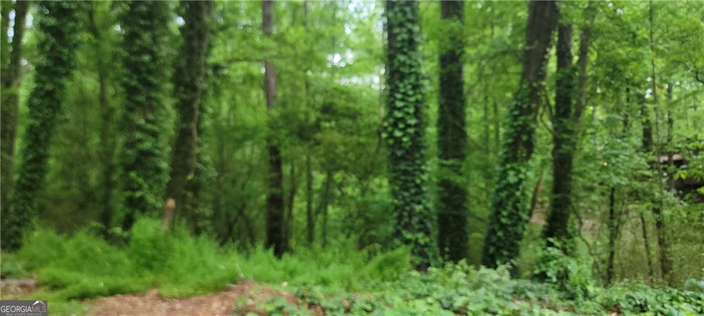 0 Shadowbrook Drive Marietta, GA 30062 - Photo 1 of 1 a view of a lush green forest