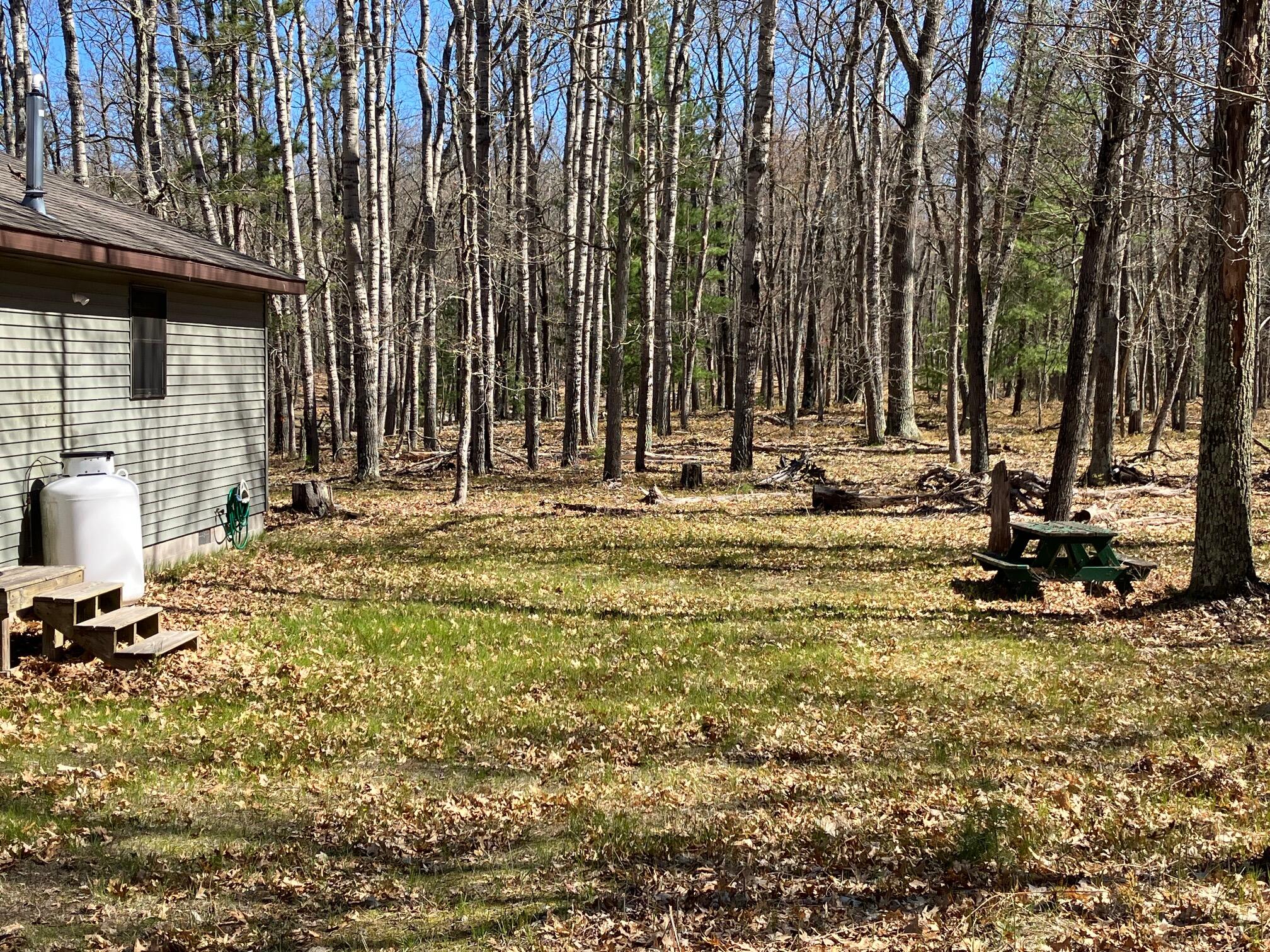 11373 South Rabbit Road Baldwin, MI 49304 - Photo 21 of 21 woods
