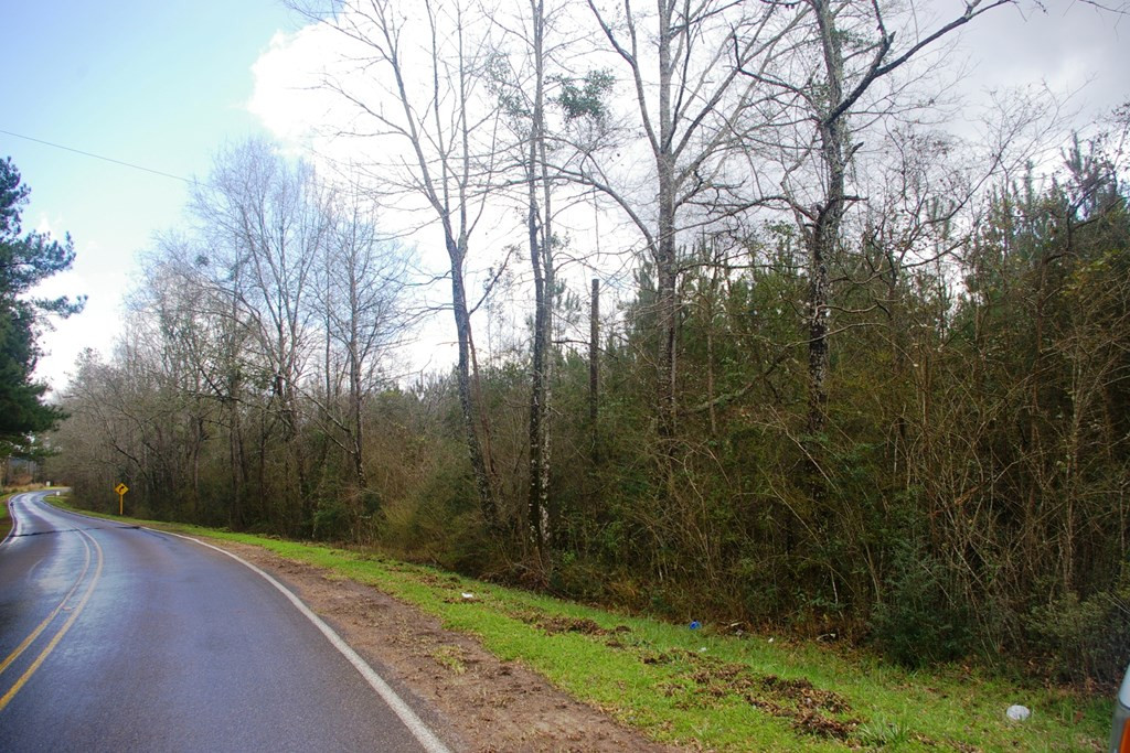 Xxx Mallalieu Drive Ruth, MS 39662 - Photo 12 of 17 Photo 12