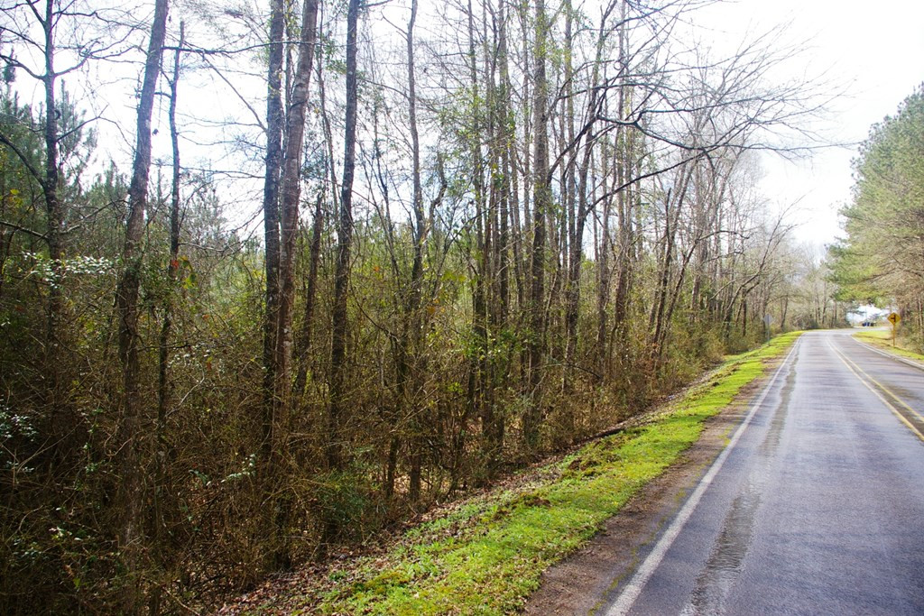 Xxx Mallalieu Drive Ruth, MS 39662 - Photo 14 of 17 Photo 14