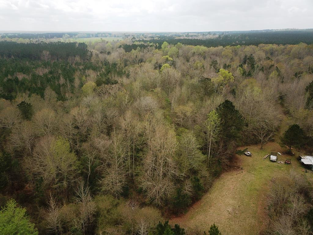 Xxx Mallalieu Drive Ruth, MS 39662 - Photo 17 of 17 Photo 17