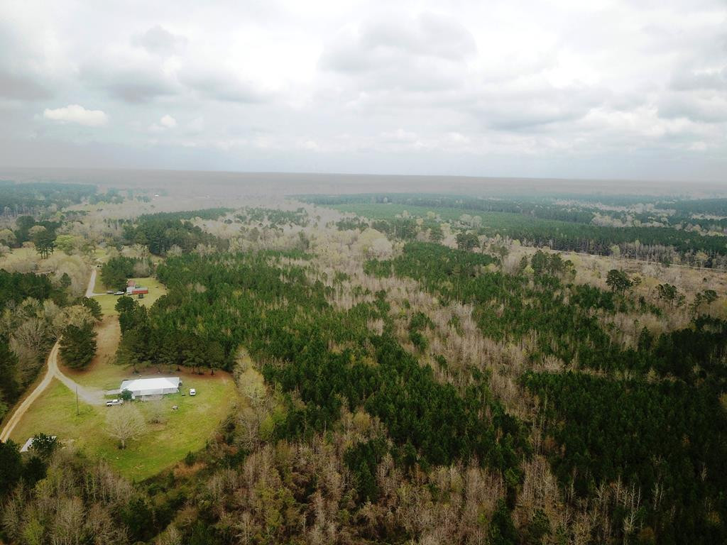 Xxx Mallalieu Drive Ruth, MS 39662 - Photo 2 of 17 Photo 2
