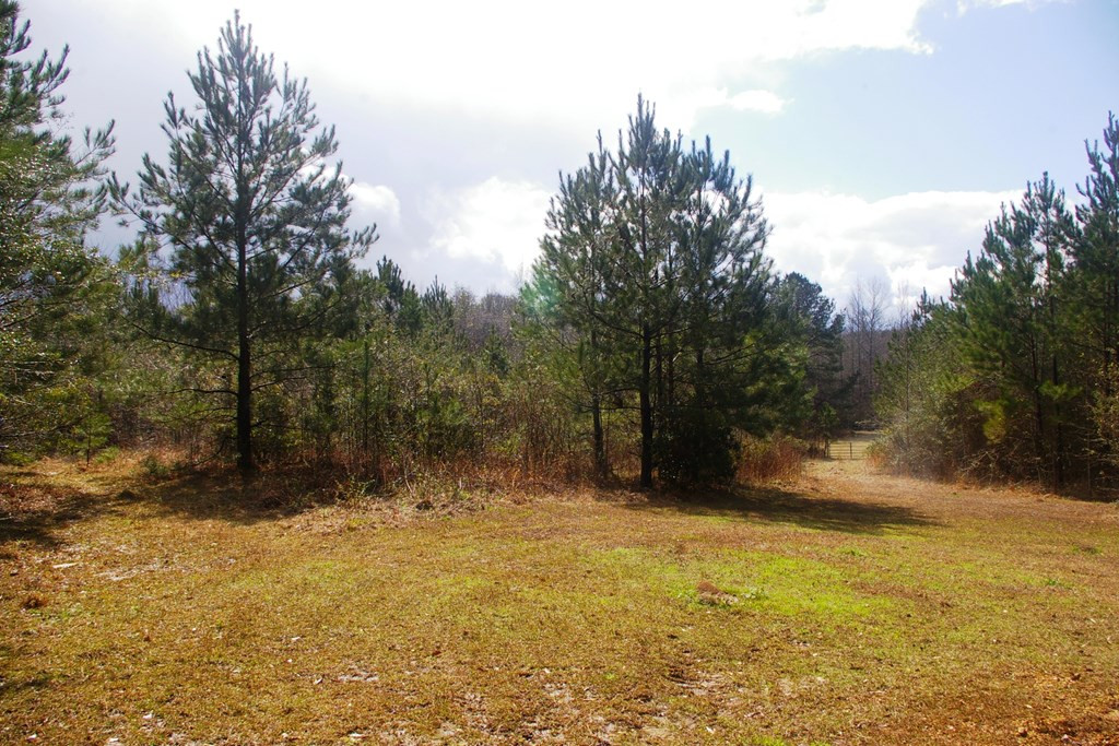 Xxx Mallalieu Drive Ruth, MS 39662 - Photo 4 of 17 Photo 4