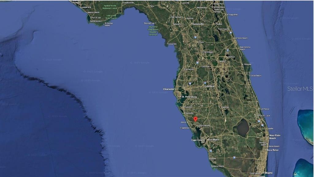 6 Jensley Avenue North Port, FL 34286 - Photo 6 of 9 a close up of a plant