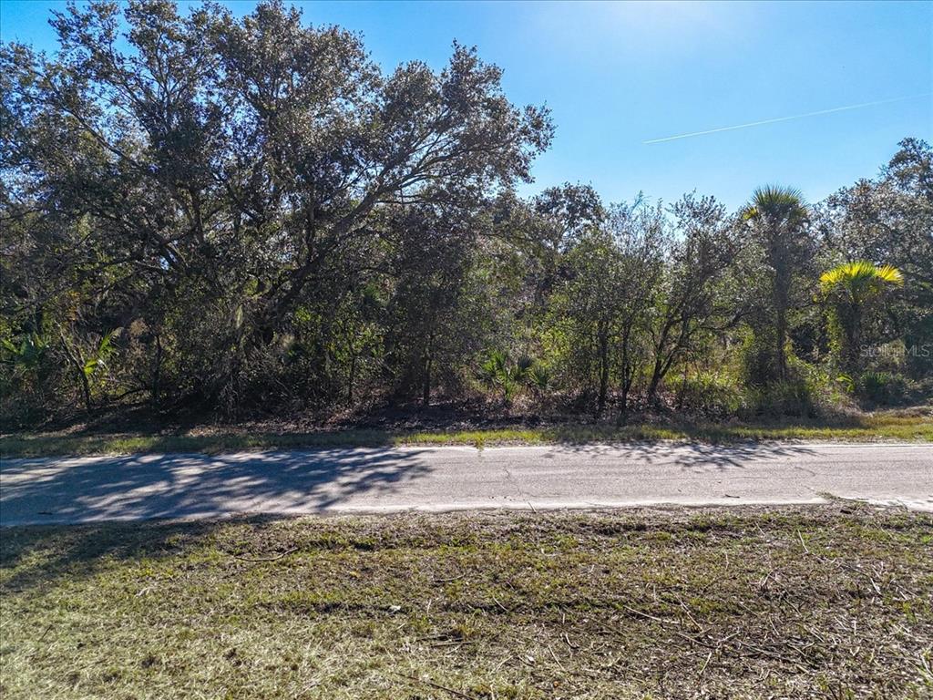 6 Jensley Avenue North Port, FL 34286 - Photo 7 of 9 a view of a yard with a tree