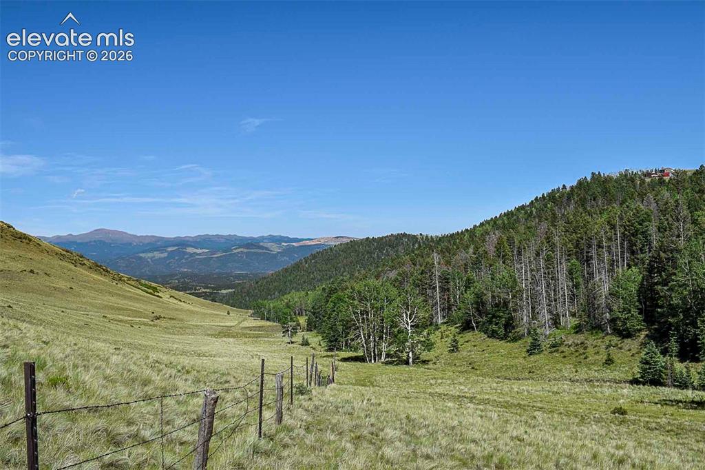 0 Bear Cat Road Guffey, CO 80820 - Photo 13 of 40