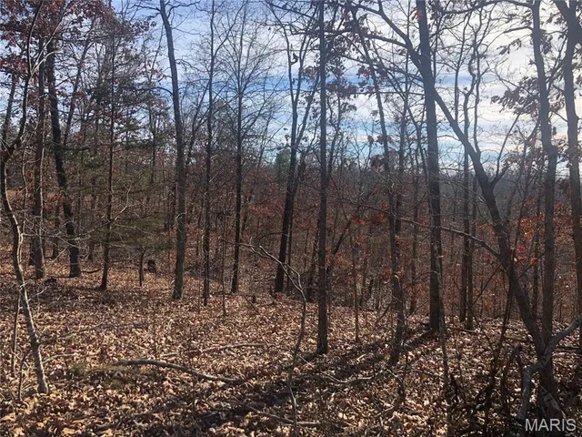 $41,500 | 0 Highway K Jadwin Mo 65501, Jadwin, MO 65501