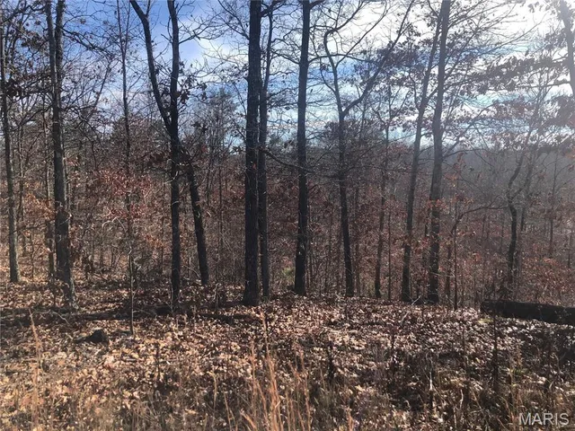 $41,500 | 0 Highway K Jadwin Mo 65501, Jadwin, MO 65501