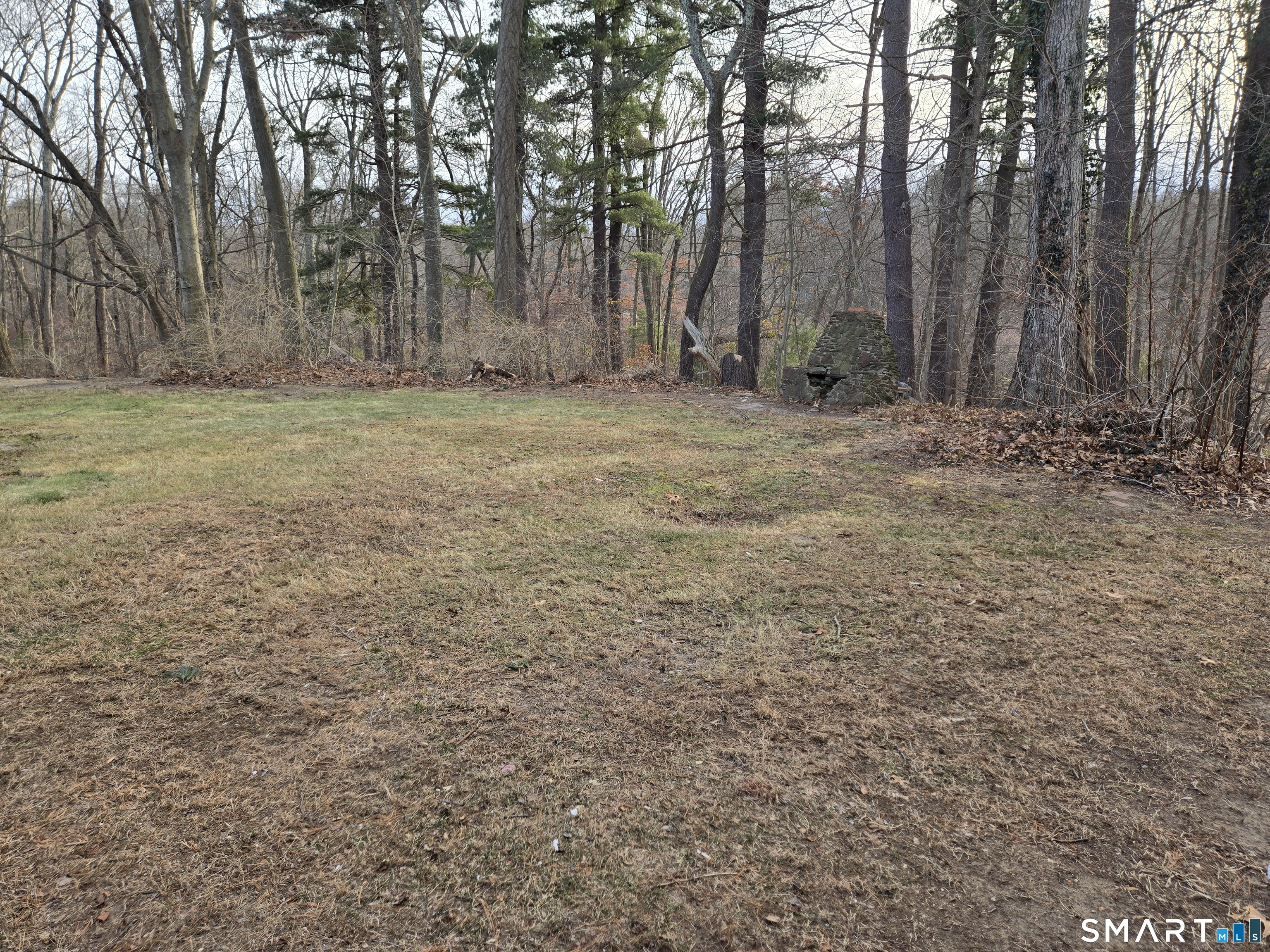 242 Elm Street Enfield, CT 06082 - Photo 20 of 21 a view of outdoor space with trees