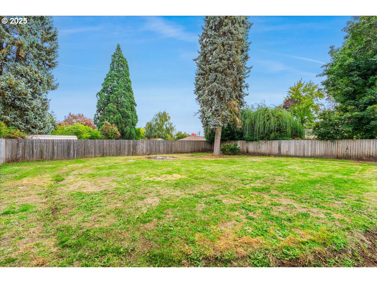 1317 Filbert Street Forest Grove, OR 97116 - Photo 24 of 29 a view of yard with green space