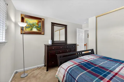 a view of a garden with pathway