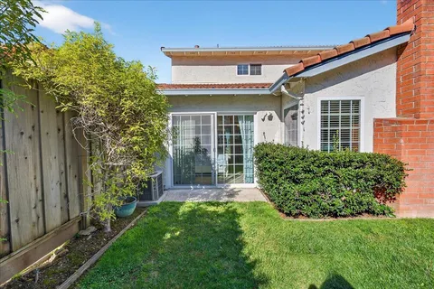 a view of backyard with large windows and a large tree