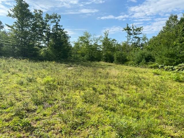 Lot 38 Off Powhatan Road Otisfield, ME 04270 - Photo 4 of 6 3