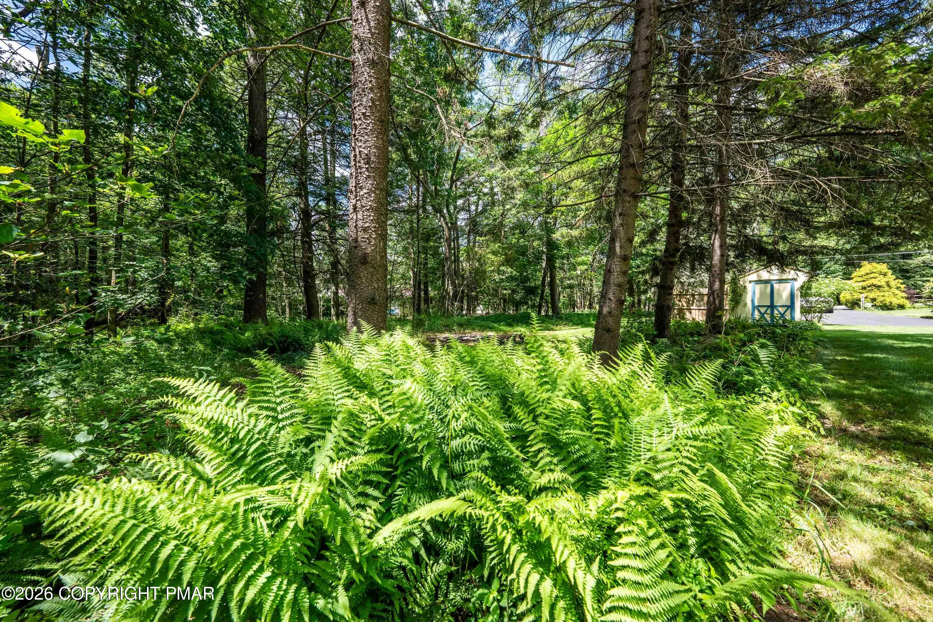5226 Beechwood Road Pocono Lake, PA 18347 - Photo 62 of 65 5226 Beechwood-54