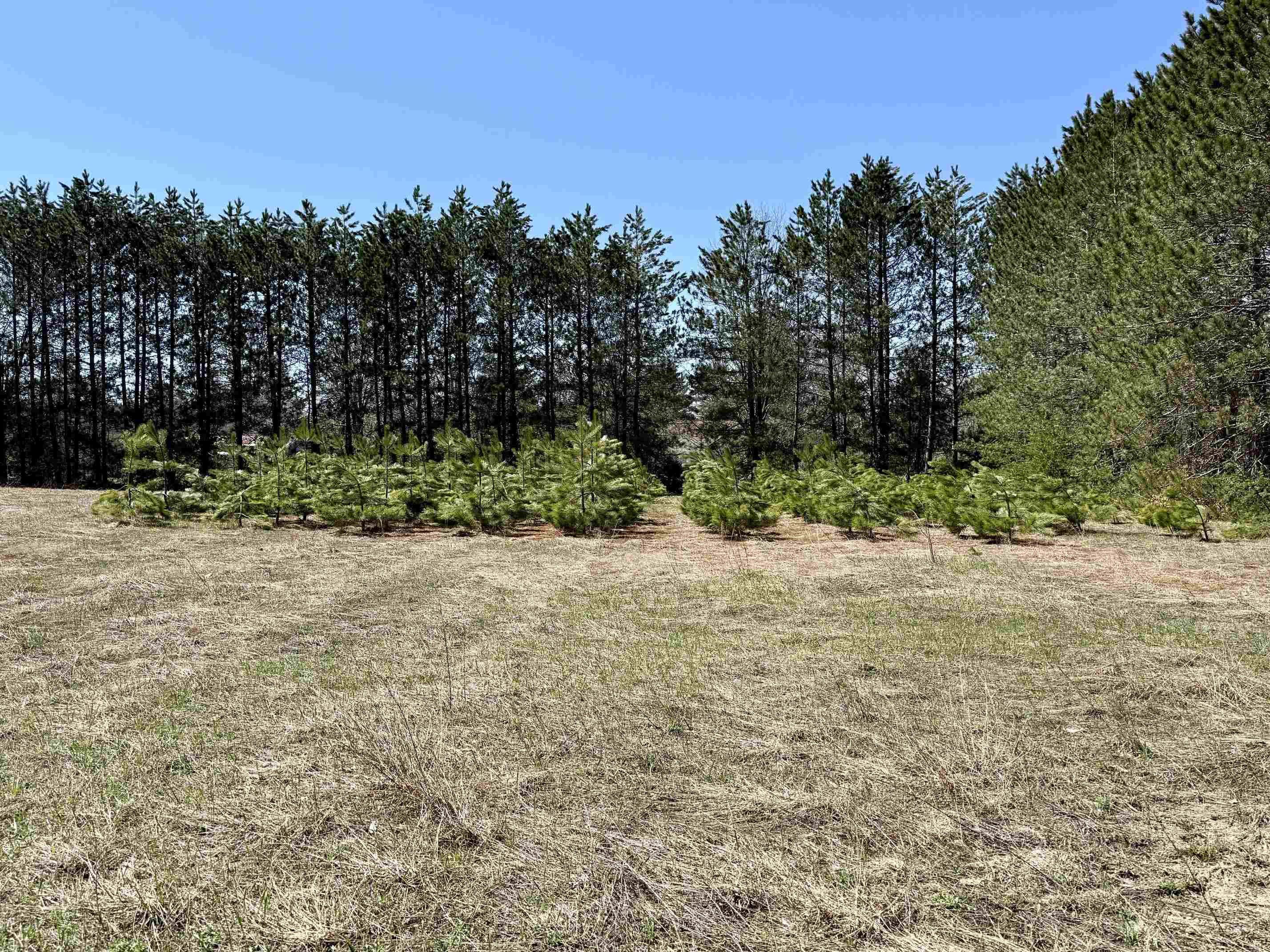 3044 South 29 Road Cadillac, MI 49601 - Photo 7 of 11