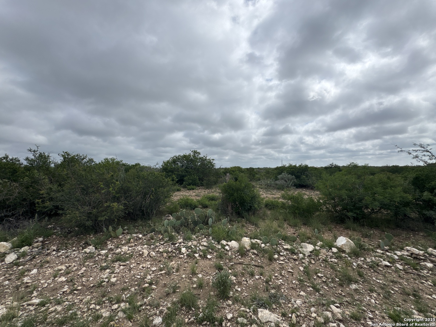 73 Rocky Hills Uvalde, TX 78801 - Photo 5 of 5 a view of a yard with a tree