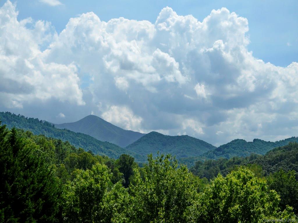 172 Bennett Road Candler, NC 28715 - Photo 22 of 24 Gallery Image 22