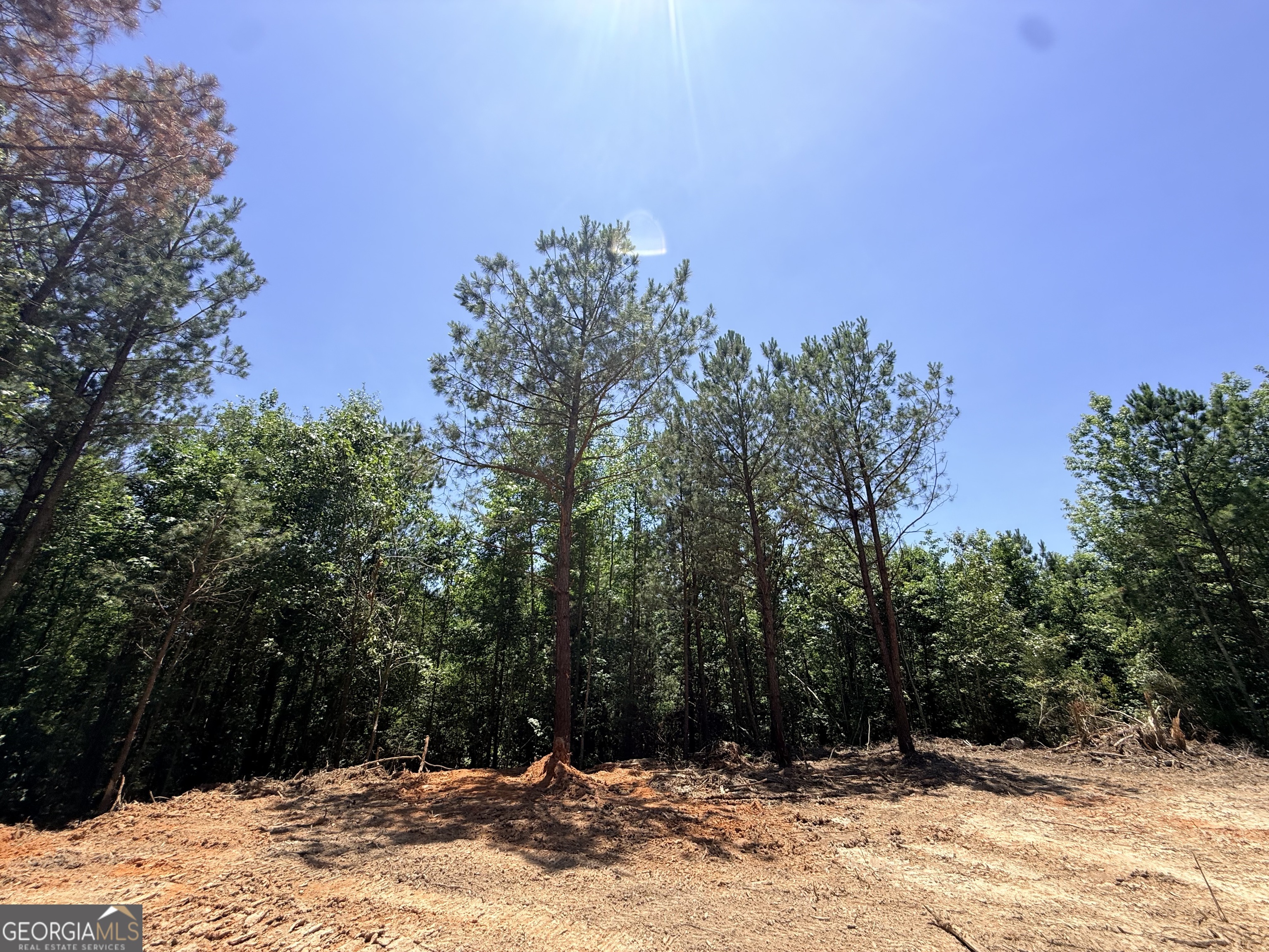 2807 Cedar Creek Road Elberton, GA 30635 - Photo 35 of 109