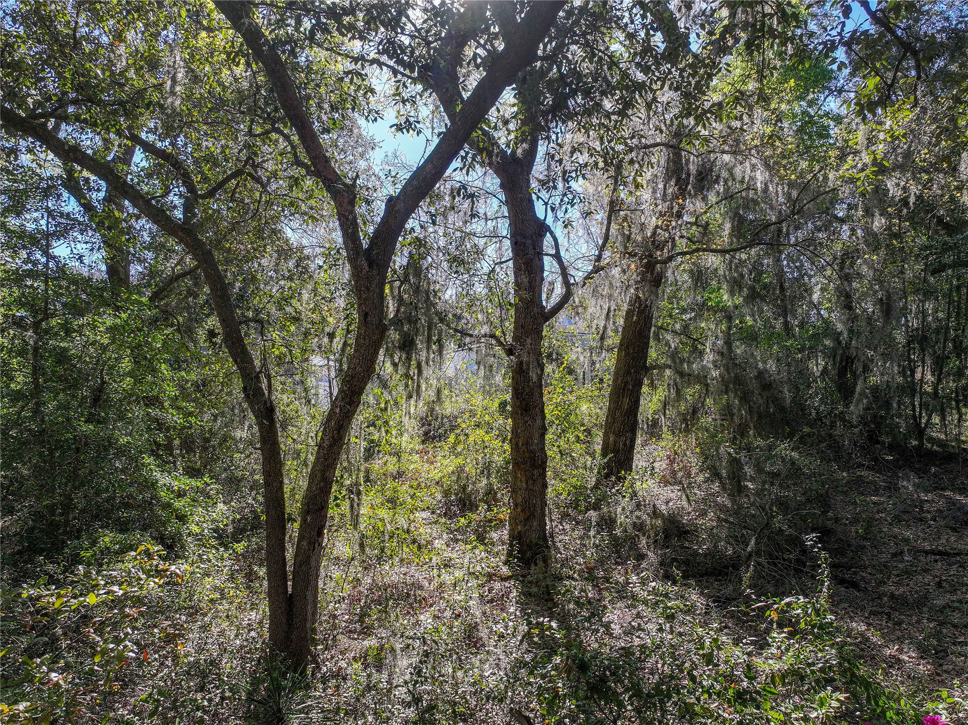 Sorensen Terrace Fernandina Beach, FL 32034 - Photo 17 of 17